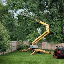 Reliable Hillsville, VA Tree Removal and Landscaping Services Solutions